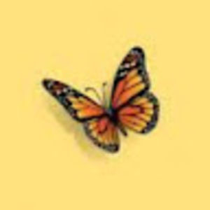 Meet your Posher, Camila